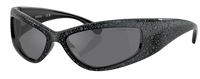 Swarovski SK6027 Sunglasses