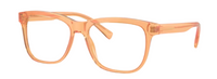 Lunettes de vue Dolce & Gabbana DX3356