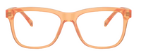 Lunettes de vue Dolce & Gabbana DX3356