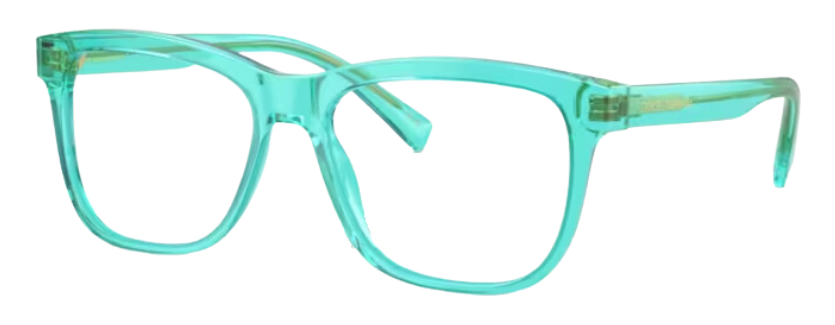 Lunettes de vue Dolce & Gabbana DX3356