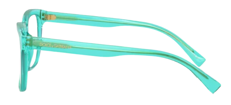 Lunettes de vue Dolce & Gabbana DX3356