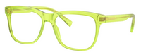 Lunettes de vue Dolce & Gabbana DX3356