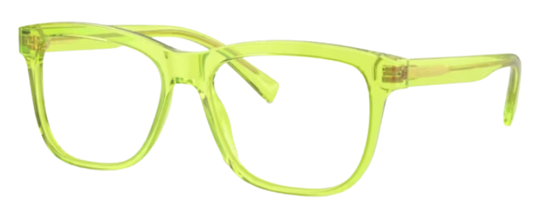 Lunettes de vue Dolce & Gabbana DX3356