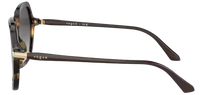 Vogue Eyewear VO5561S Sunglasses