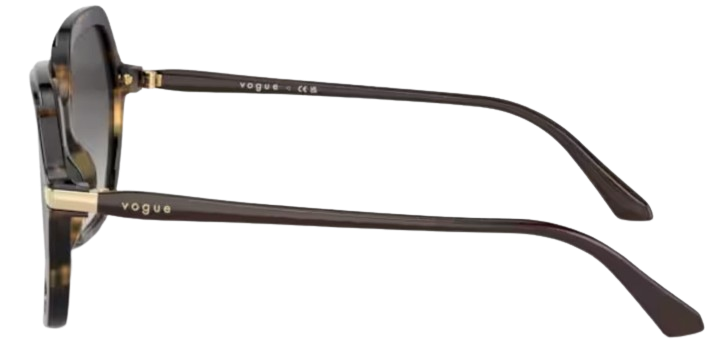 Vogue Eyewear VO5561S Sunglasses