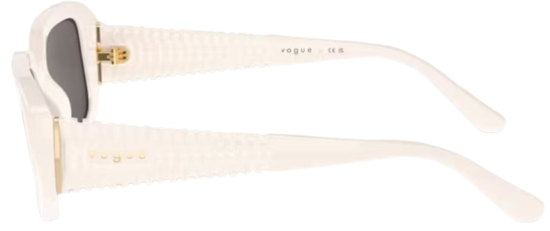 Vogue Eyewear VO5565S Sunglasses