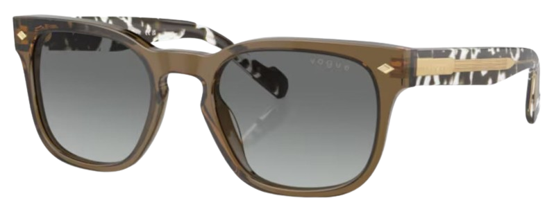 Vogue Eyewear VO5571S Sunglasses