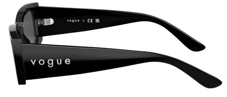Vogue Eyewear VO5584S Sunglasses