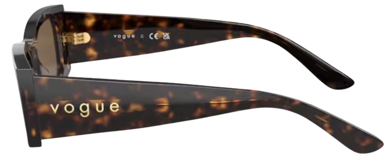 Vogue Eyewear VO5584S Sunglasses