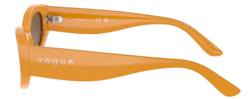 Vogue Eyewear VO5585S Sunglasses