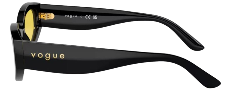 Vogue Eyewear VO5585S Sunglasses