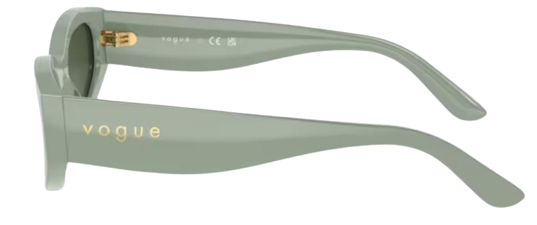 Vogue Eyewear VO5585S Sunglasses