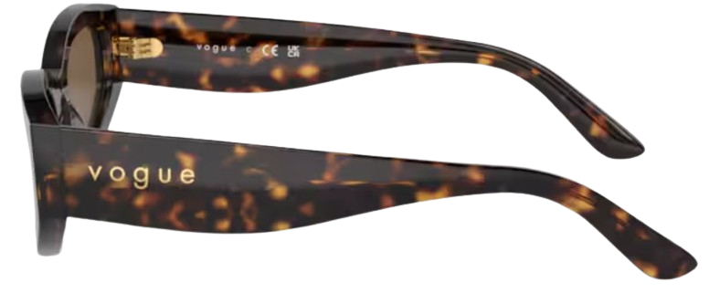 Vogue Eyewear VO5585S Sunglasses