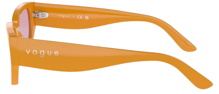 Vogue Eyewear VO5586S Sunglasses