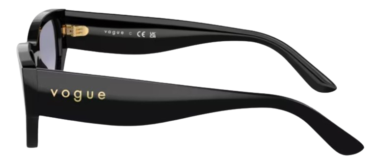 Vogue Eyewear VO5586S Sunglasses