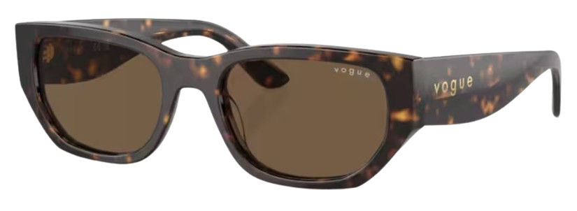 Vogue Eyewear VO5586S Sunglasses
