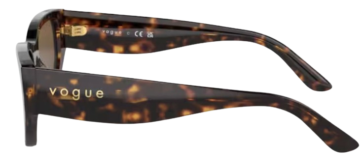 Vogue Eyewear VO5586S Sunglasses