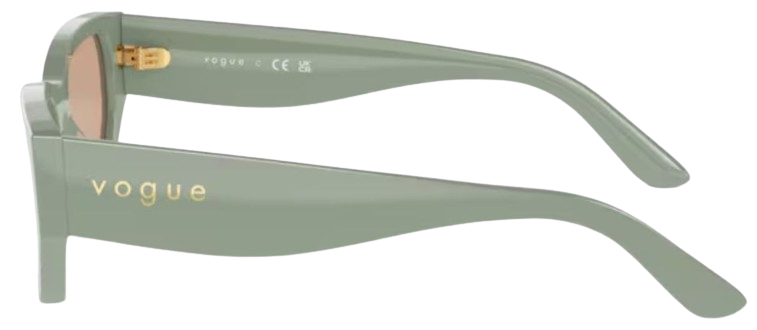 Vogue Eyewear VO5586S Sunglasses