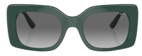 Vogue Eyewear VO5481S Sunglasses