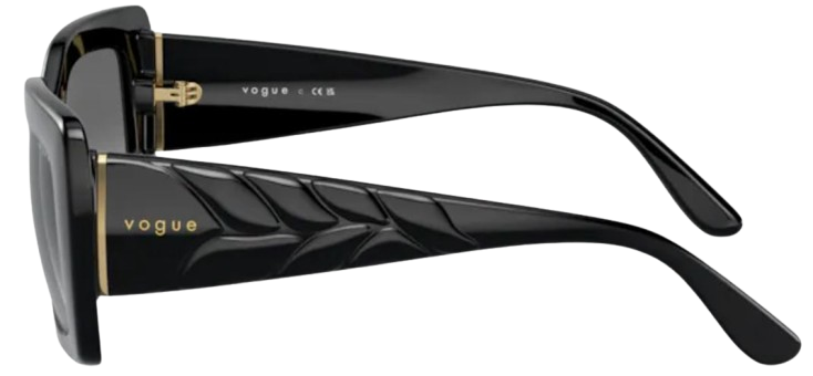 Vogue Eyewear VO5481S Sunglasses