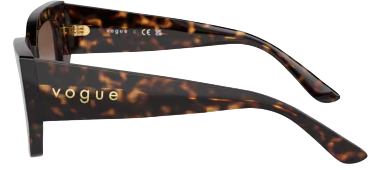 Vogue Eyewear VO5583S Sunglasses