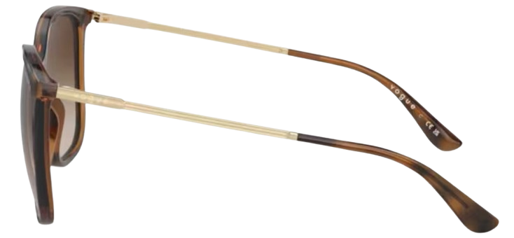 Vogue Eyewear VO5564S Sunglasses