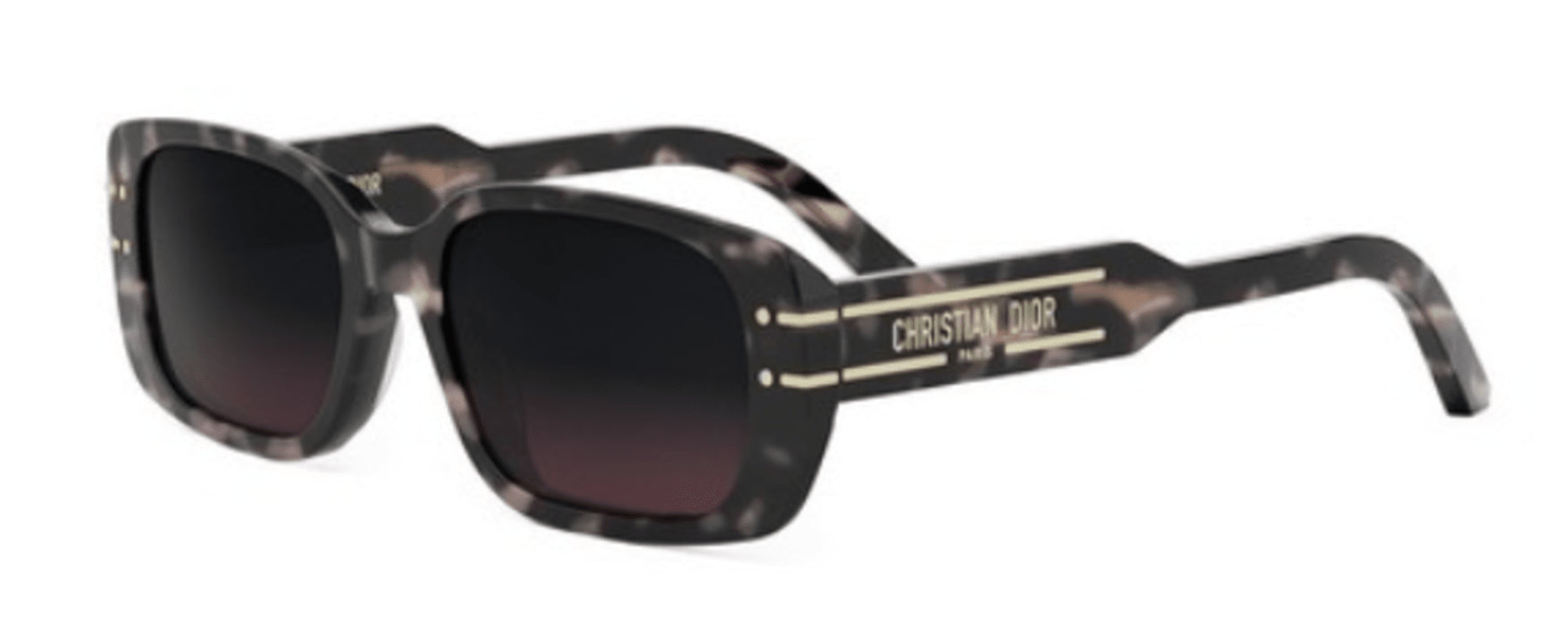 Lunettes de Soleil DIOR DiorSignature S12I