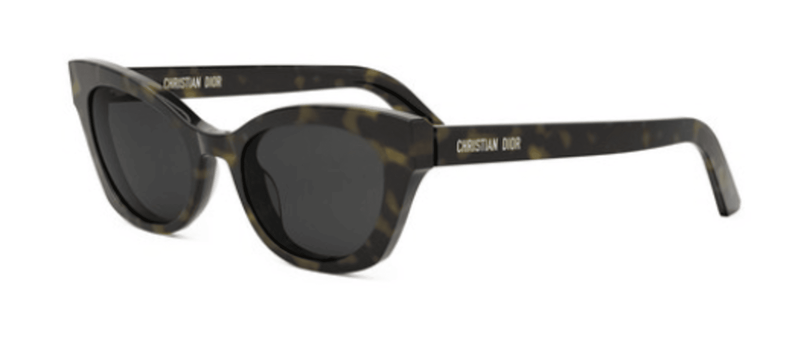 Zonnebrillen DIOR DiorMidnight B2I
