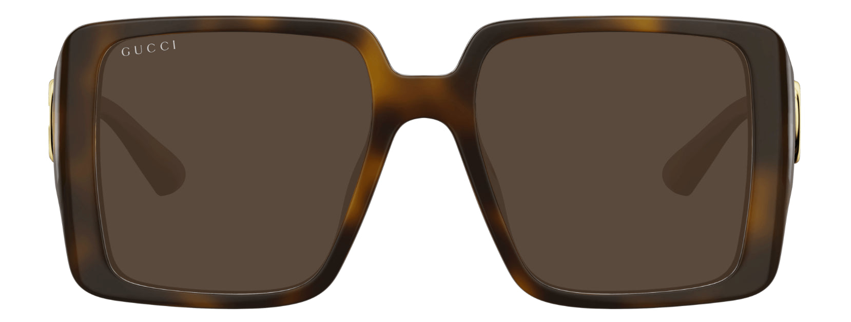 Gucci GG Logo GG1692SA Sunglasses