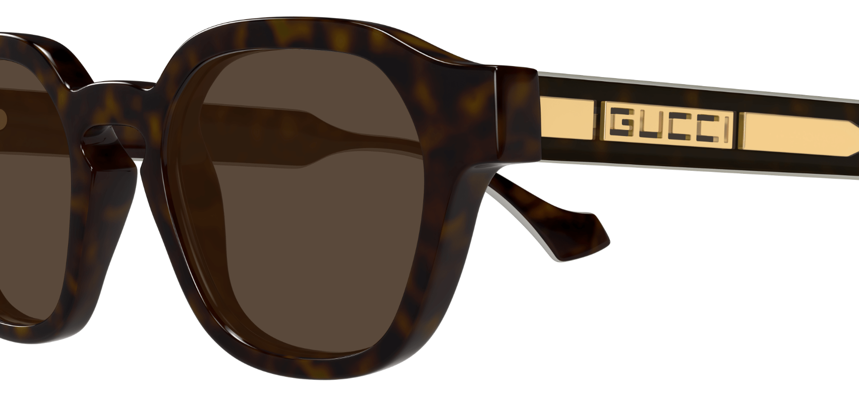 Gucci Lettering GG1730S Sunglasses