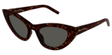 Gafas de sol Saint Laurent SL Logo SL 213 LILY