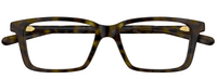 Brille Gucci Web GG1672O