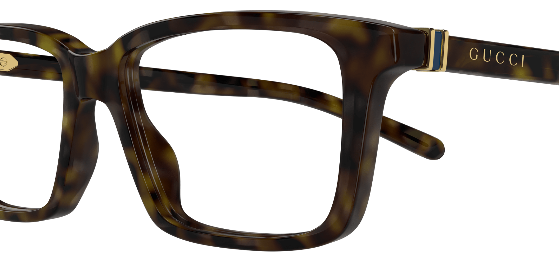 Brille Gucci Web GG1672O