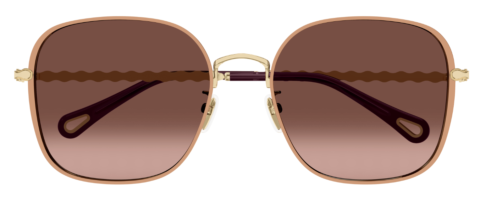 Occhiali da sole Chloé CH0255SK
