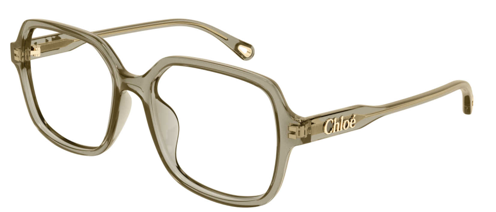 Brillen Chloé CH0277OA