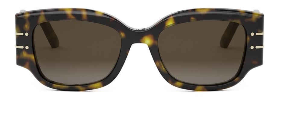 DIOR DiorSignature S13I Sunglasses