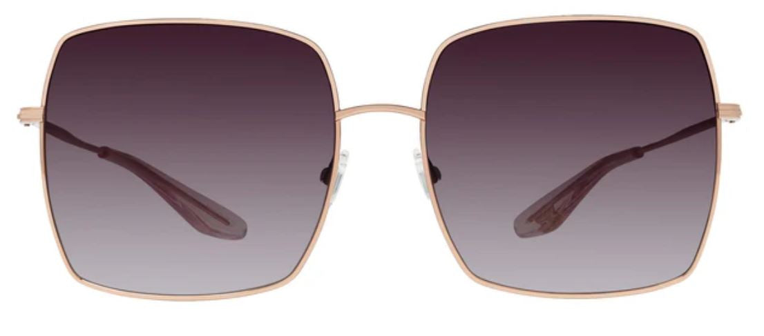 Lunettes de Soleil Barton Perreira Folasade