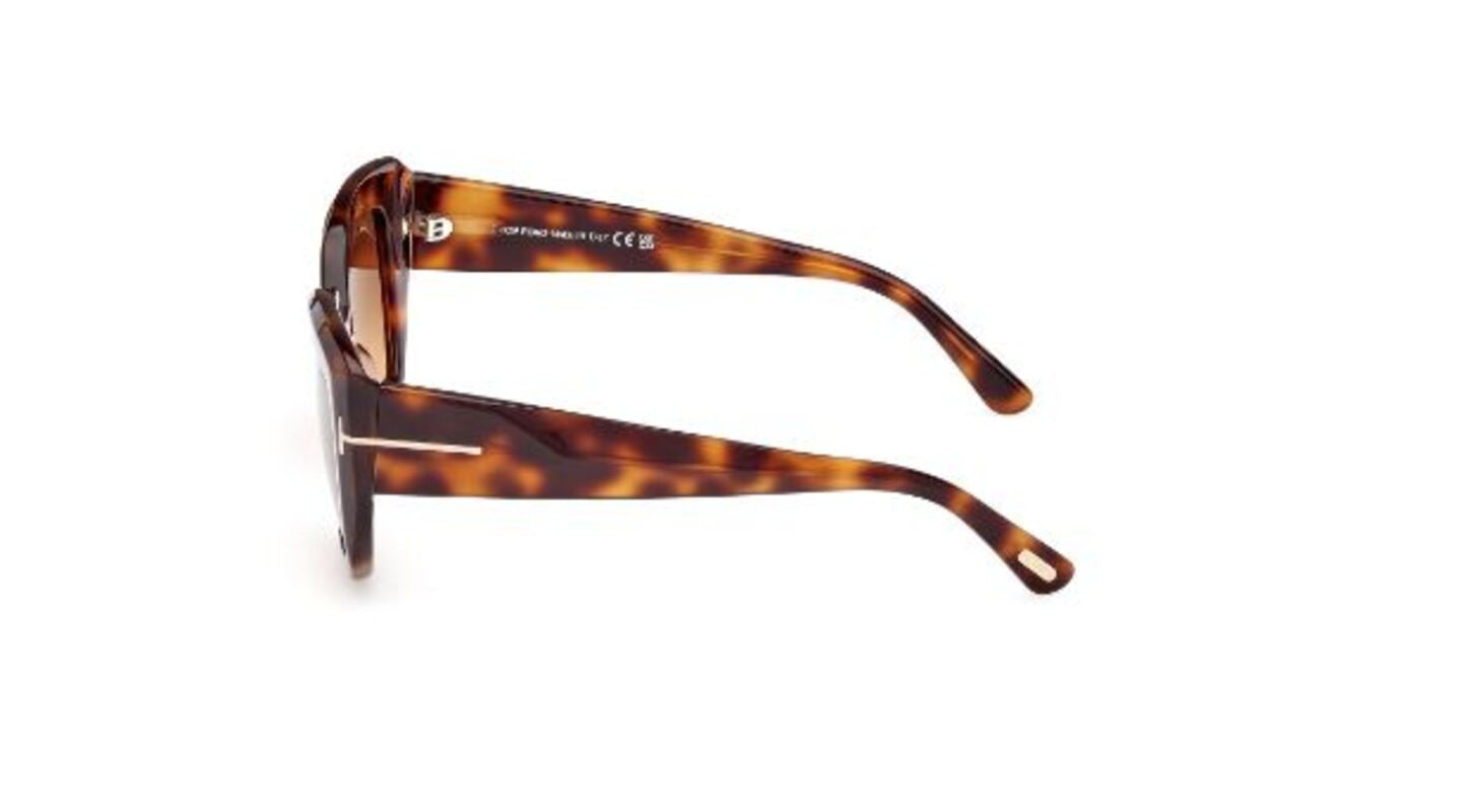 Tom Ford Saltzman FT1192 Sunglasses