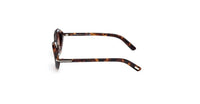 Tom Ford Carmen FT1186 Sunglasses