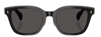 Moncler Metrope ME6002D Sunglasses