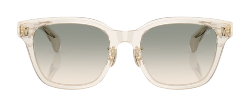 Moncler Metrope ME6002D Sunglasses