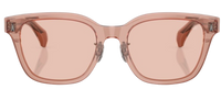 Moncler Metrope ME6002D Sunglasses