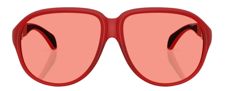 Moncler Halcyonne ME8001 Sunglasses