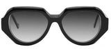 Ophy Moshe Sunglasses