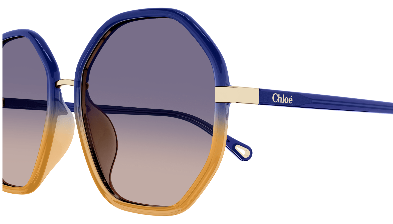 Chloé CHLOÉ CH0133SA Sunglasses