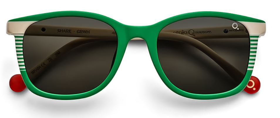 Lunettes de Soleil Etnia Barcelona SHARK