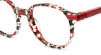 Optische bril Etnia Barcelona ANVERS
