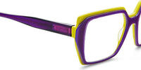 Etnia Barcelona BEB Optical Glasses