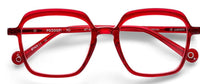 Brillen op sterkte Etnia Barcelona POOOOF