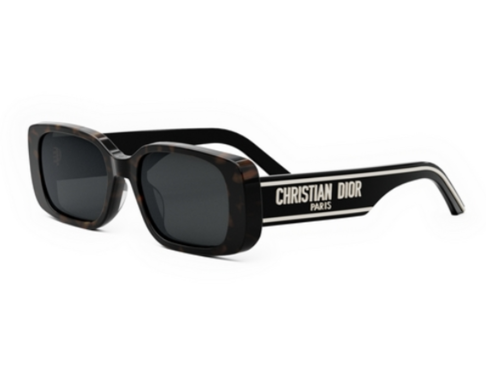 Lunettes de Soleil DIOR Wildior S2U